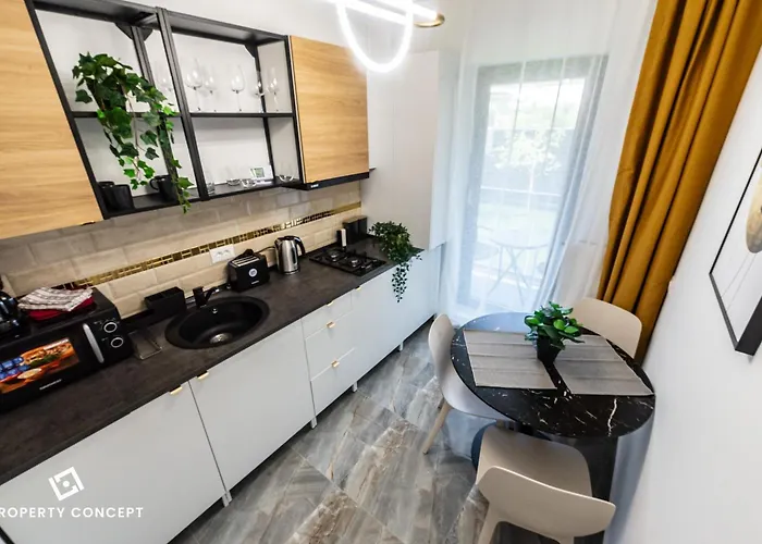 Apartament Plaza 342 *