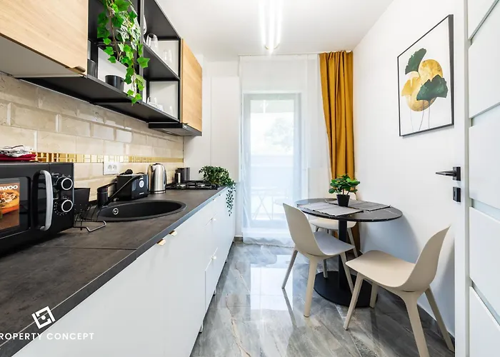 Apartament Plaza 342 *